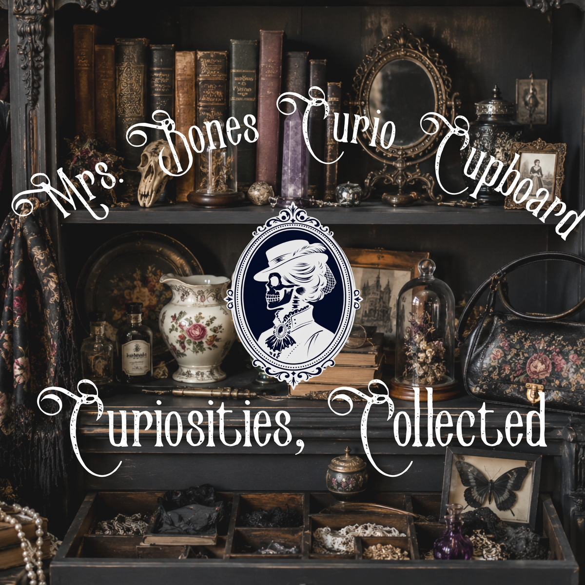 Curiosities, Collected at Mrs. Bones Curio Cupboard featuring vintage books, jewelry, antiques, oddities, and curious treasures.