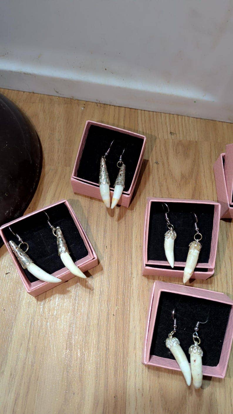 Genuine Louisiana Alligator Tooth Earrings – Handcrafted Bayou Jewelry