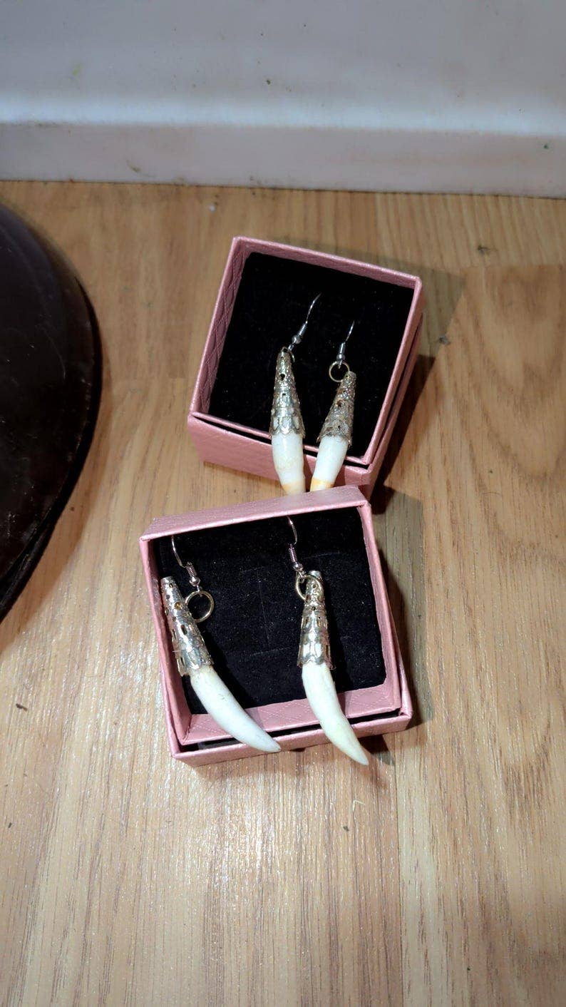 Genuine Louisiana Alligator Tooth Earrings – Handcrafted Bayou Jewelry