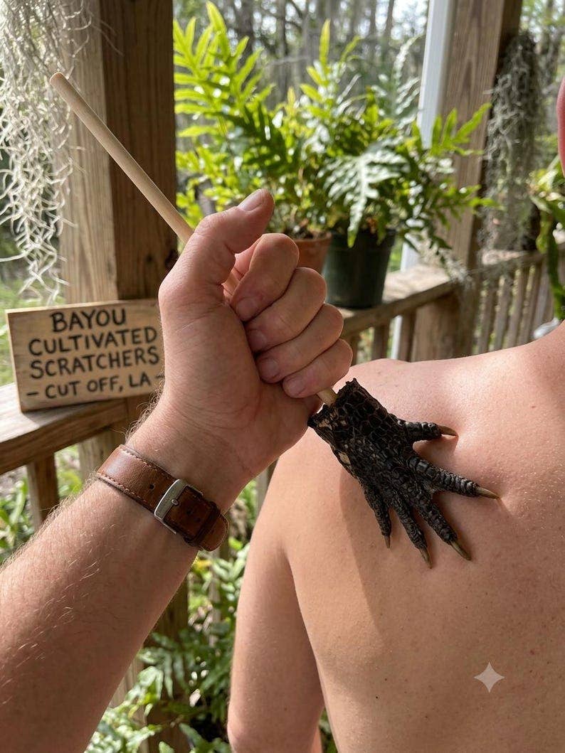 Genuine Louisiana Alligator Foot Backscratcher – Handcrafted Bayou Oddity