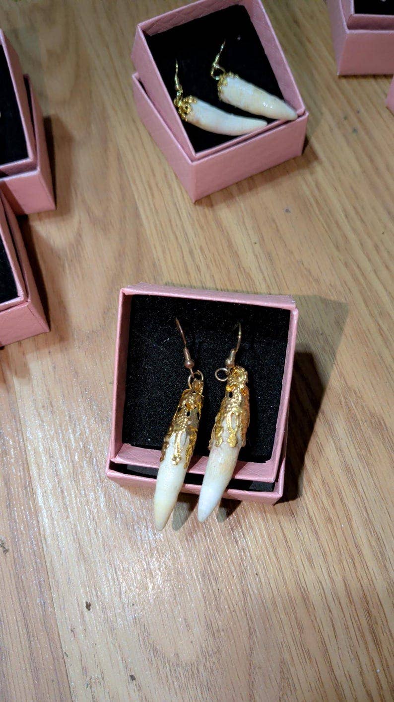 Genuine Louisiana Alligator Tooth Earrings – Handcrafted Bayou Jewelry