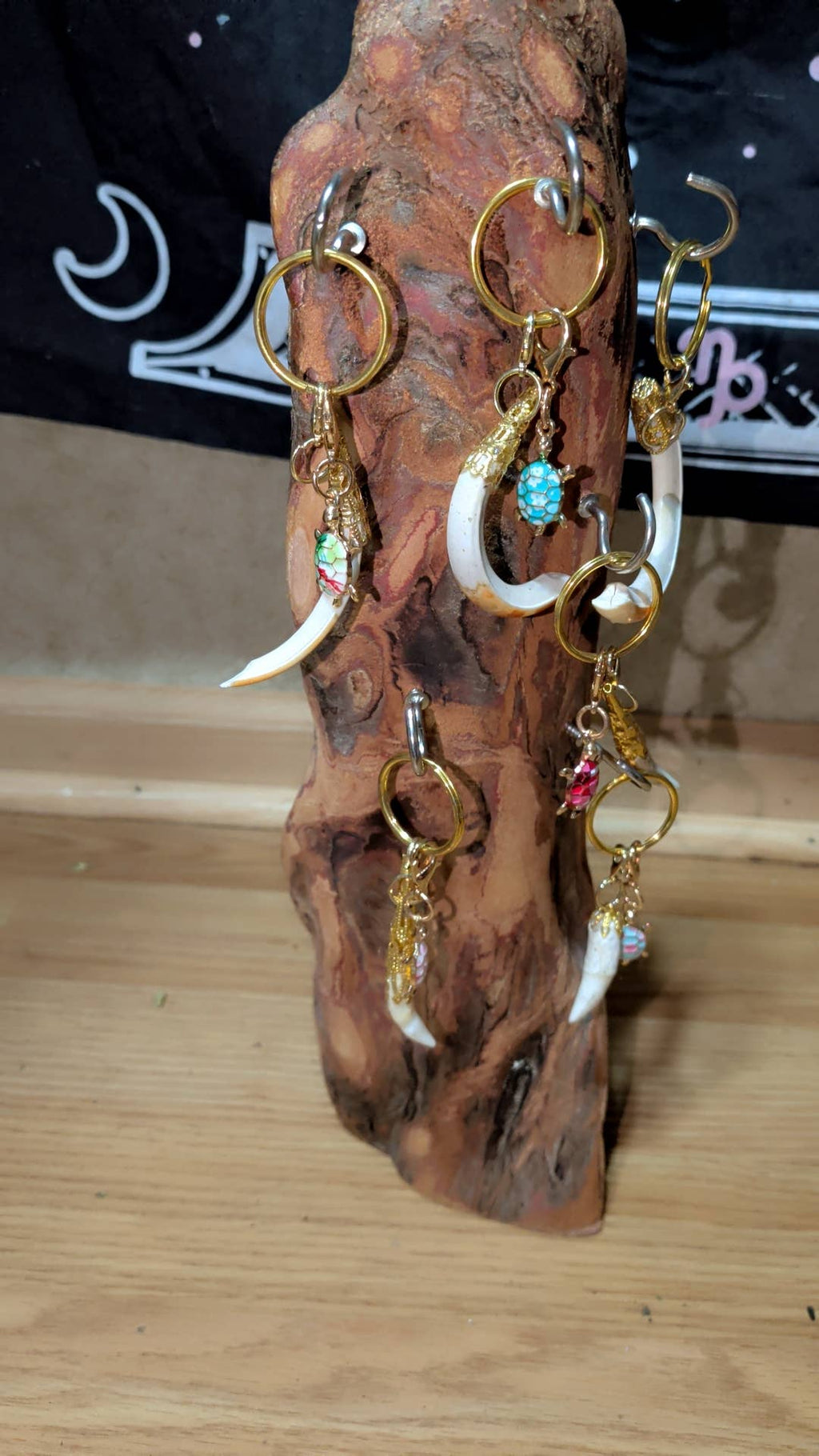Genuine Louisiana Alligator Keychains – Tooth, Foot & Natural Curiosity Charms