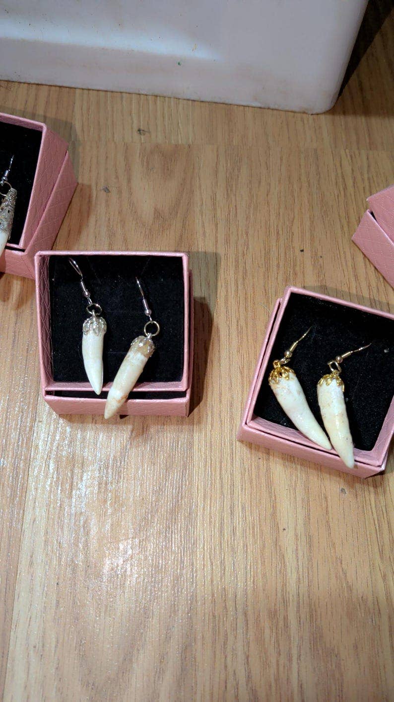 Genuine Louisiana Alligator Tooth Earrings – Handcrafted Bayou Jewelry