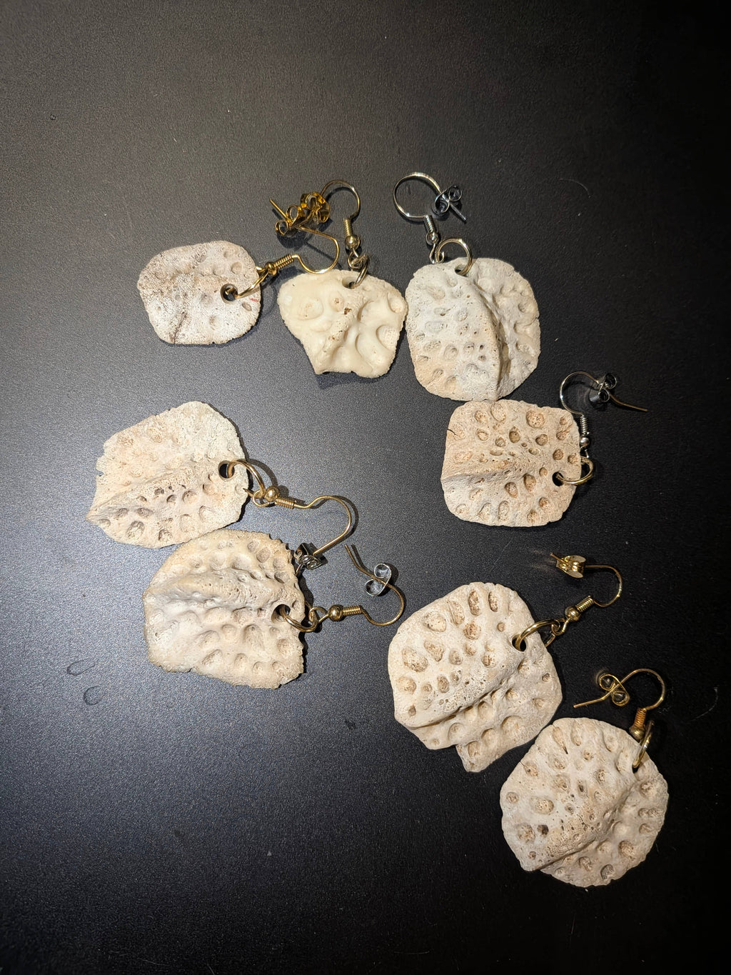 Genuine Louisiana Alligator Tooth Earrings – Handcrafted Bayou Jewelry
