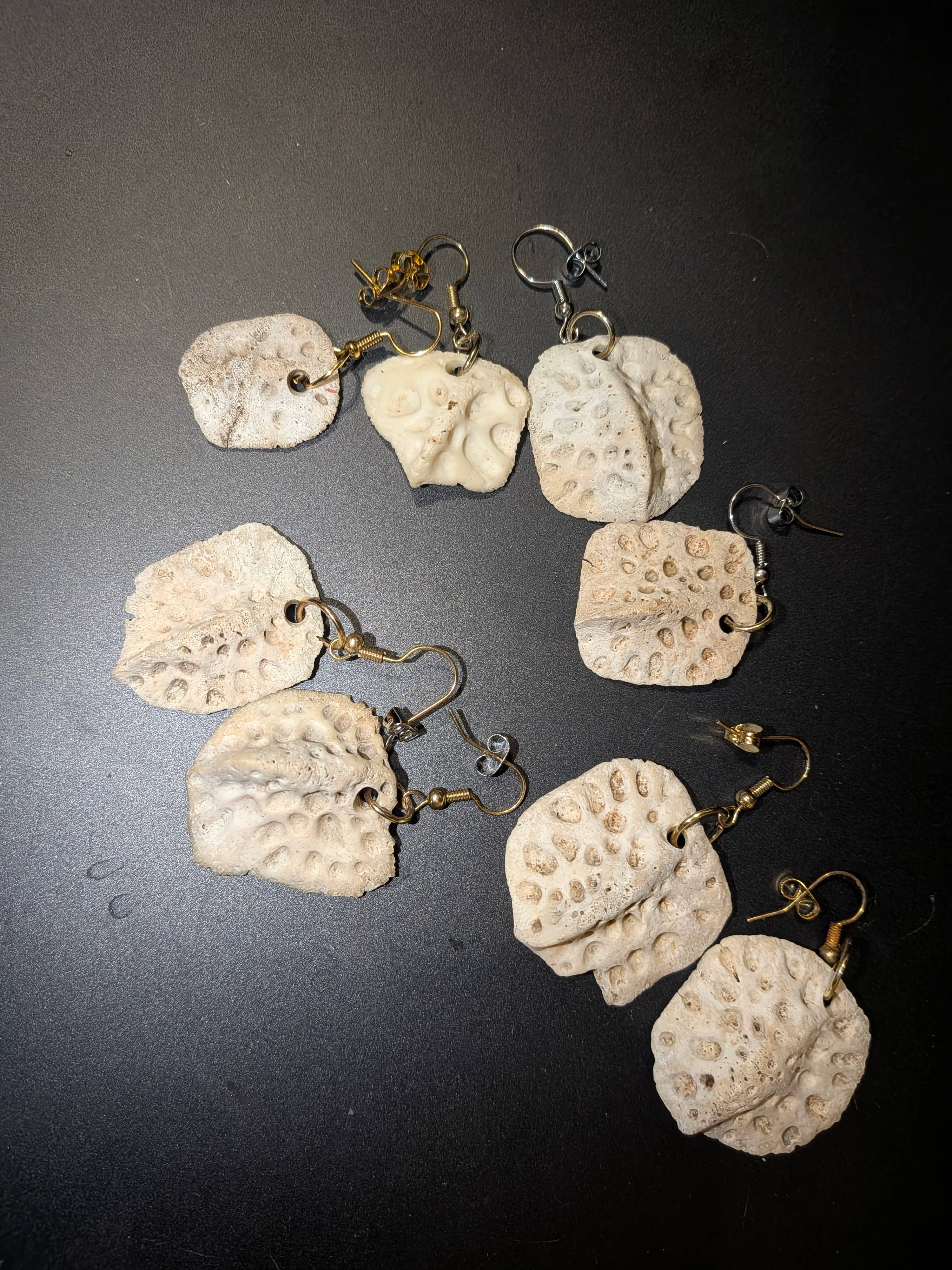 Genuine Louisiana Alligator Tooth Earrings – Handcrafted Bayou Jewelry