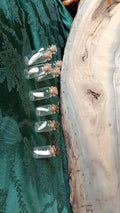 Genuine Louisiana Alligator Tooth in Glass Vial – Natural Curiosity Specimen