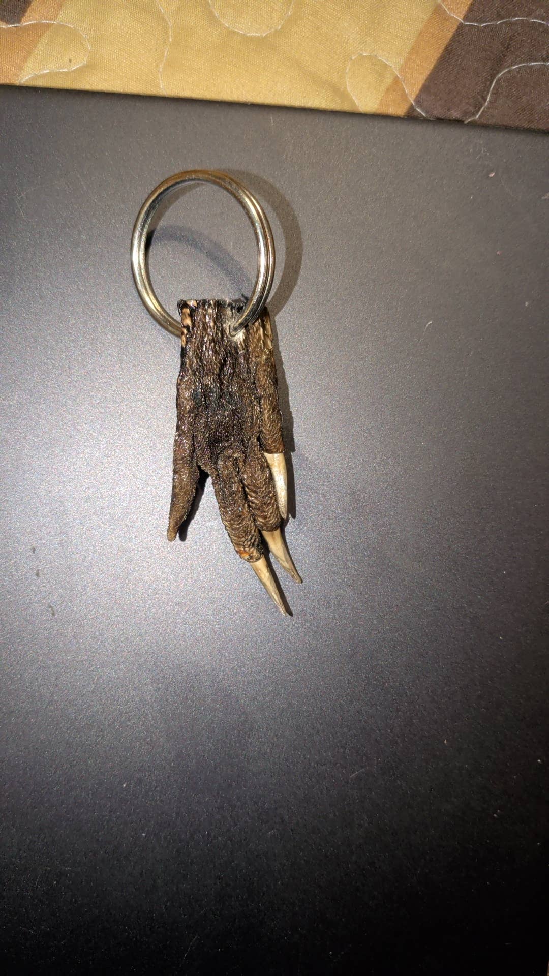 Genuine Louisiana Alligator Keychains – Tooth, Foot & Natural Curiosity Charms