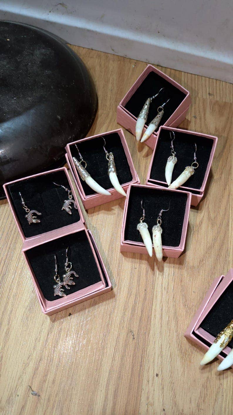 Genuine Louisiana Alligator Tooth Earrings – Handcrafted Bayou Jewelry
