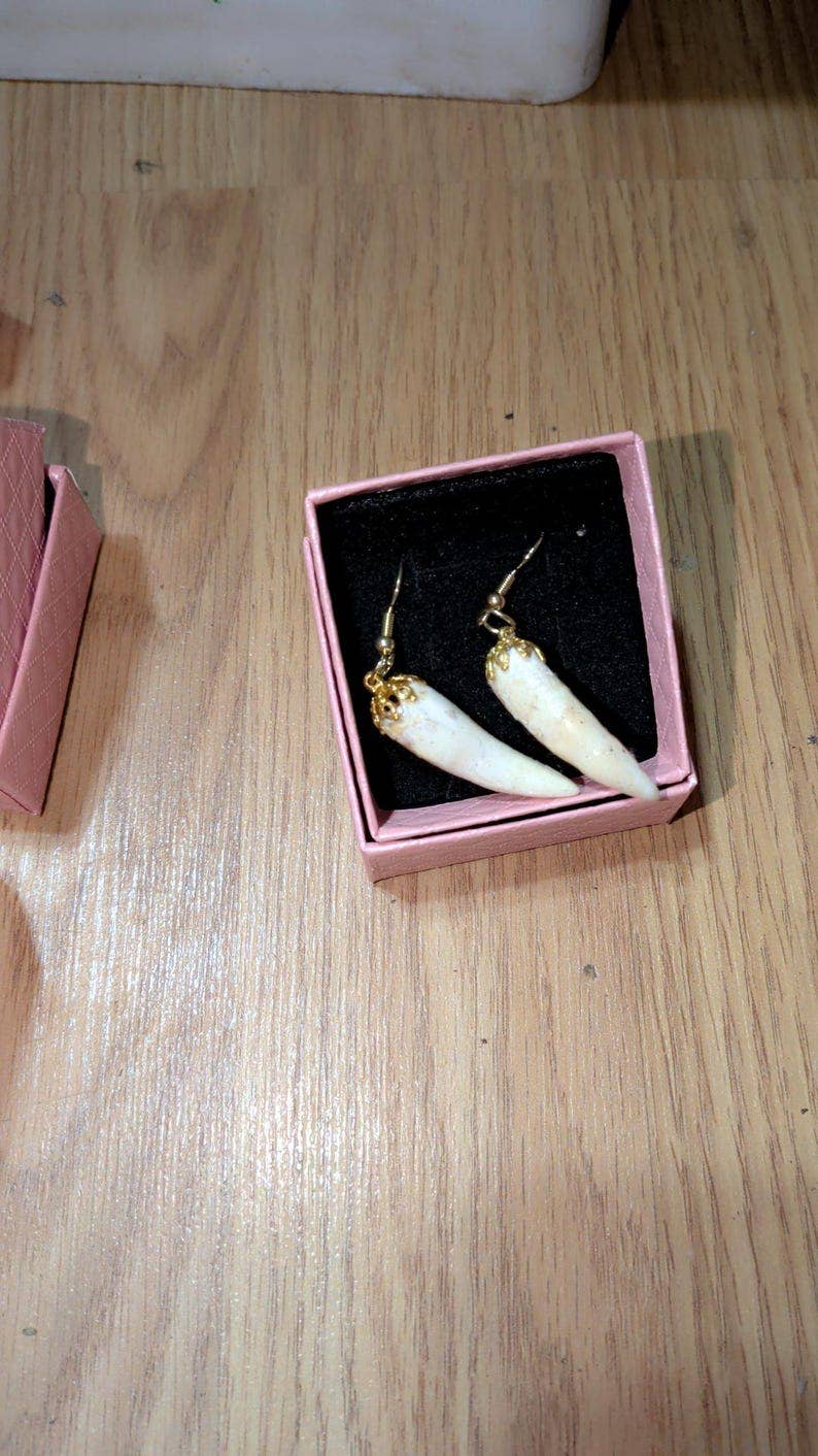 Genuine Louisiana Alligator Tooth Earrings – Handcrafted Bayou Jewelry