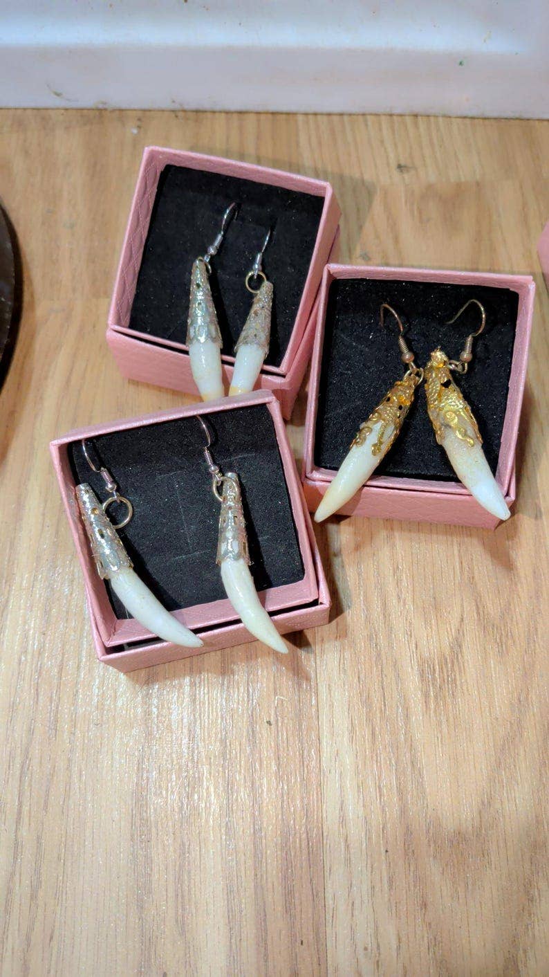 Genuine Louisiana Alligator Tooth Earrings – Handcrafted Bayou Jewelry