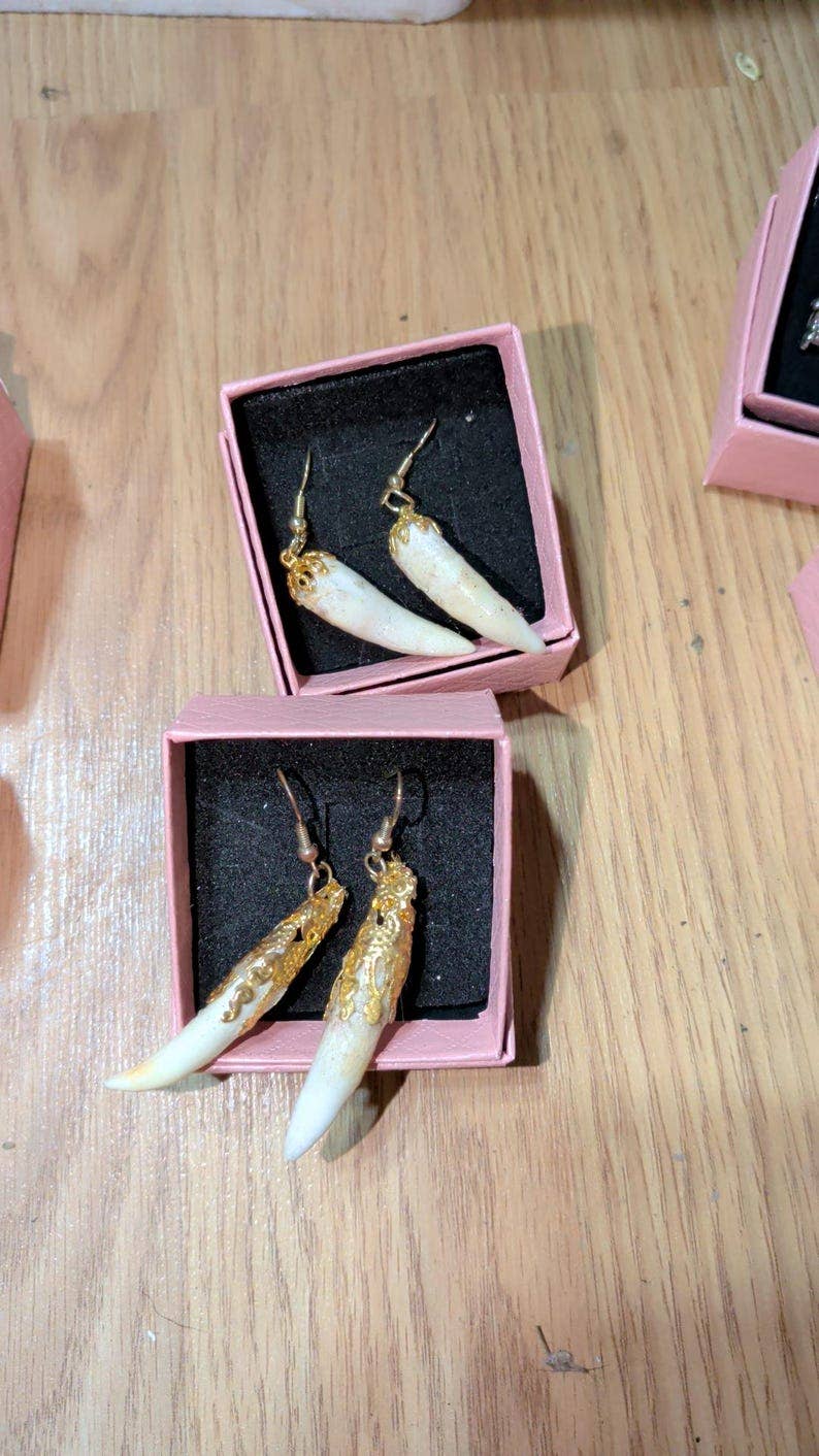 Genuine Louisiana Alligator Tooth Earrings – Handcrafted Bayou Jewelry
