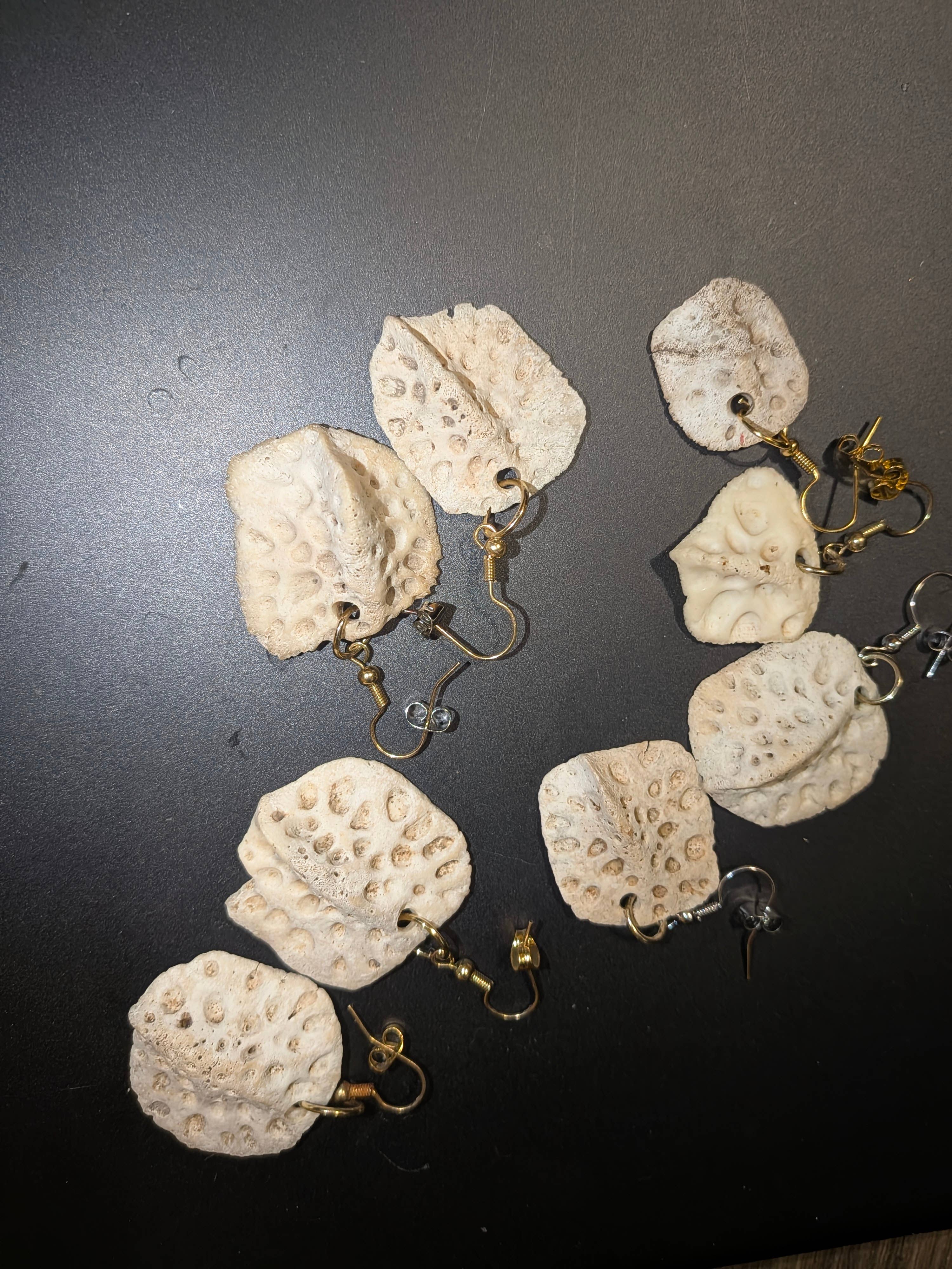 Genuine Louisiana Alligator Tooth Earrings – Handcrafted Bayou Jewelry