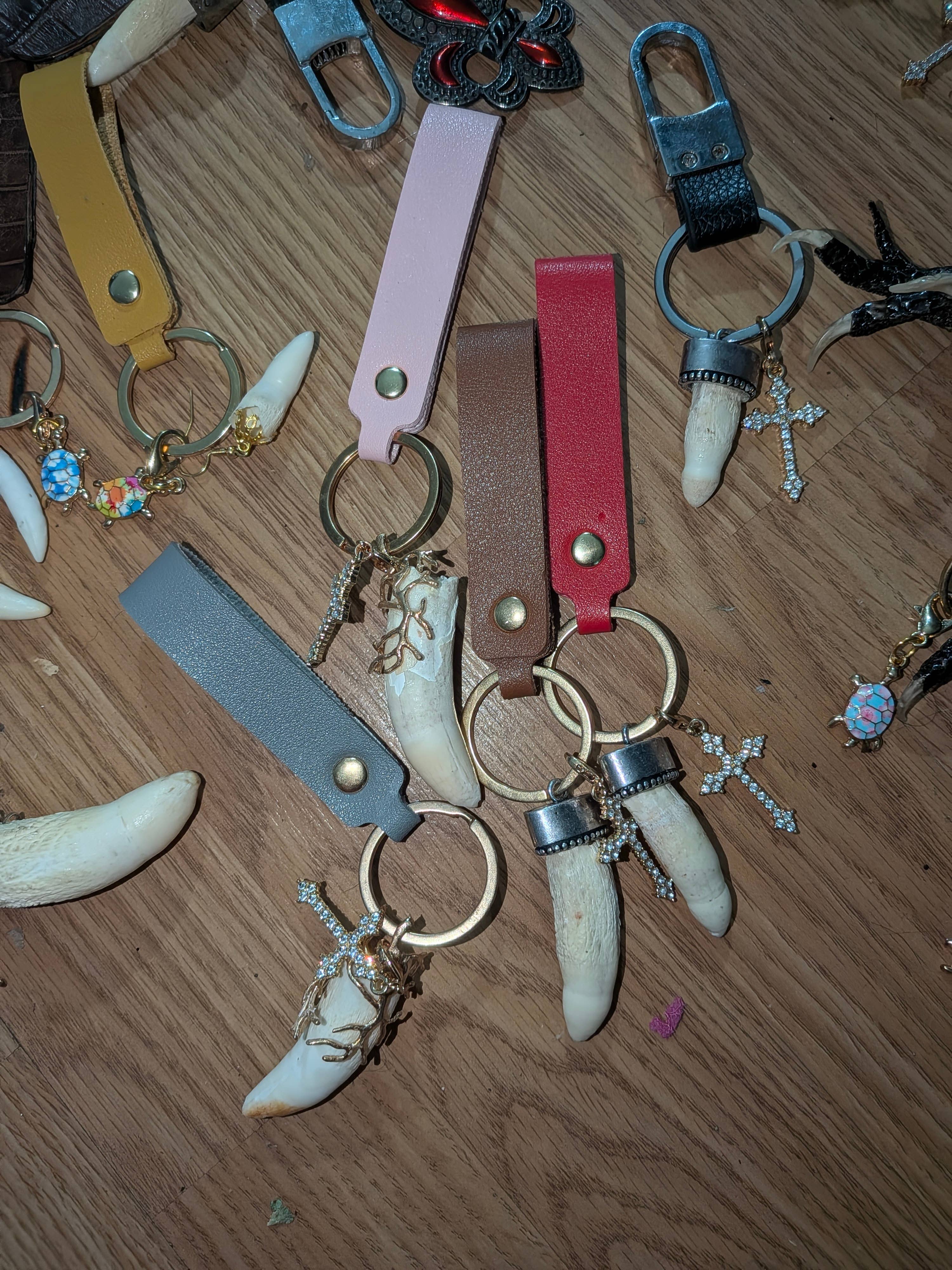 Genuine Louisiana Alligator Keychains – Tooth, Foot & Natural Curiosity Charms
