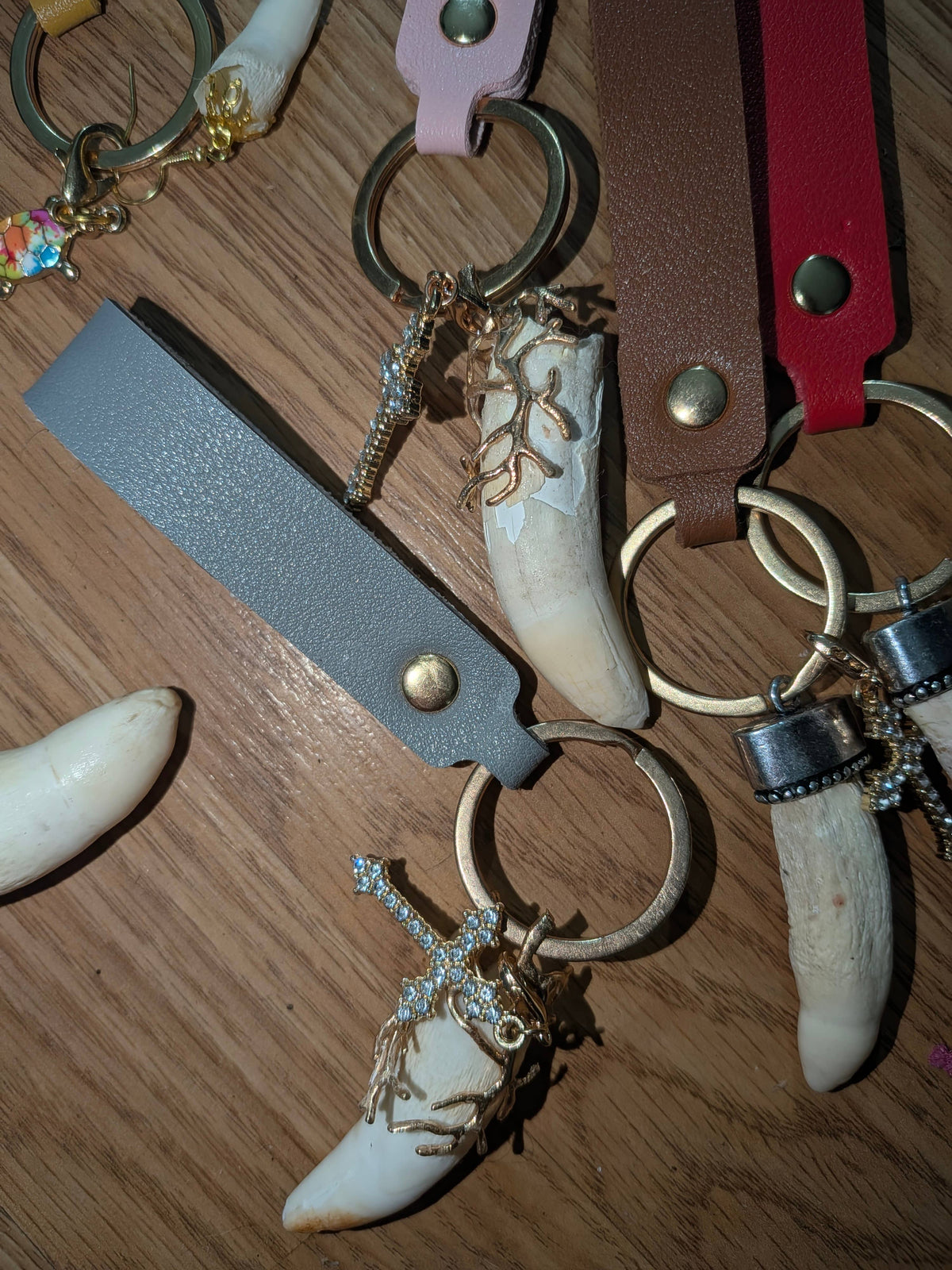 Genuine Louisiana Alligator Keychains – Tooth, Foot & Natural Curiosity Charms