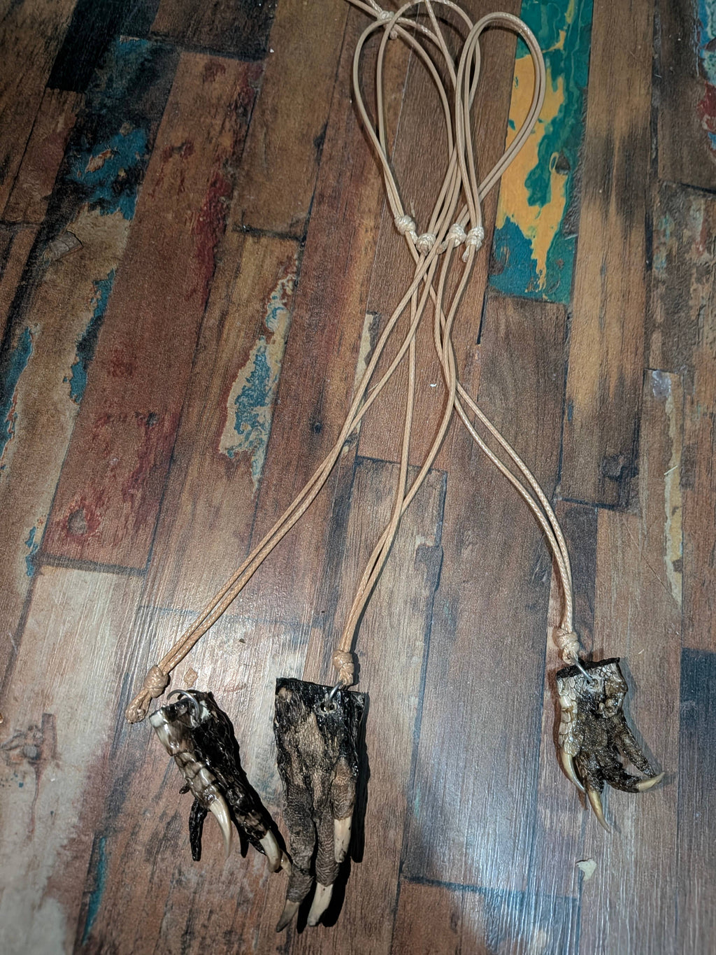 Genuine Louisiana Alligator Paw Necklace – Handcrafted Bayou Oddity Jewelry