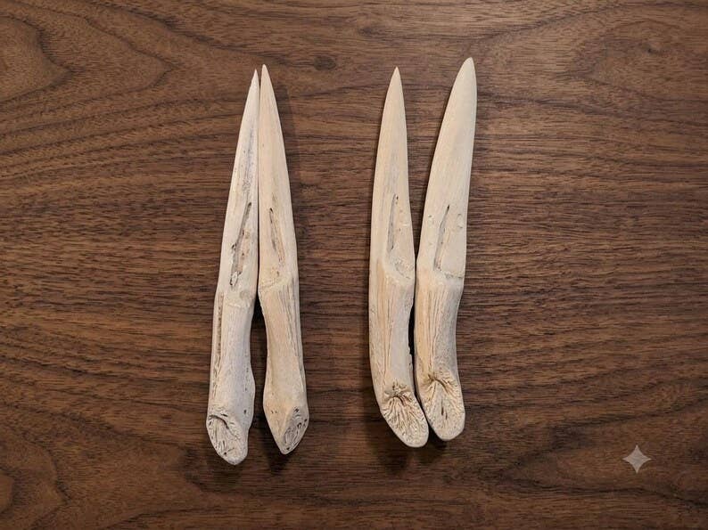 Authentic Louisiana Alligator Jawbone Letter Opener | Handcrafted Bayou Curiosity