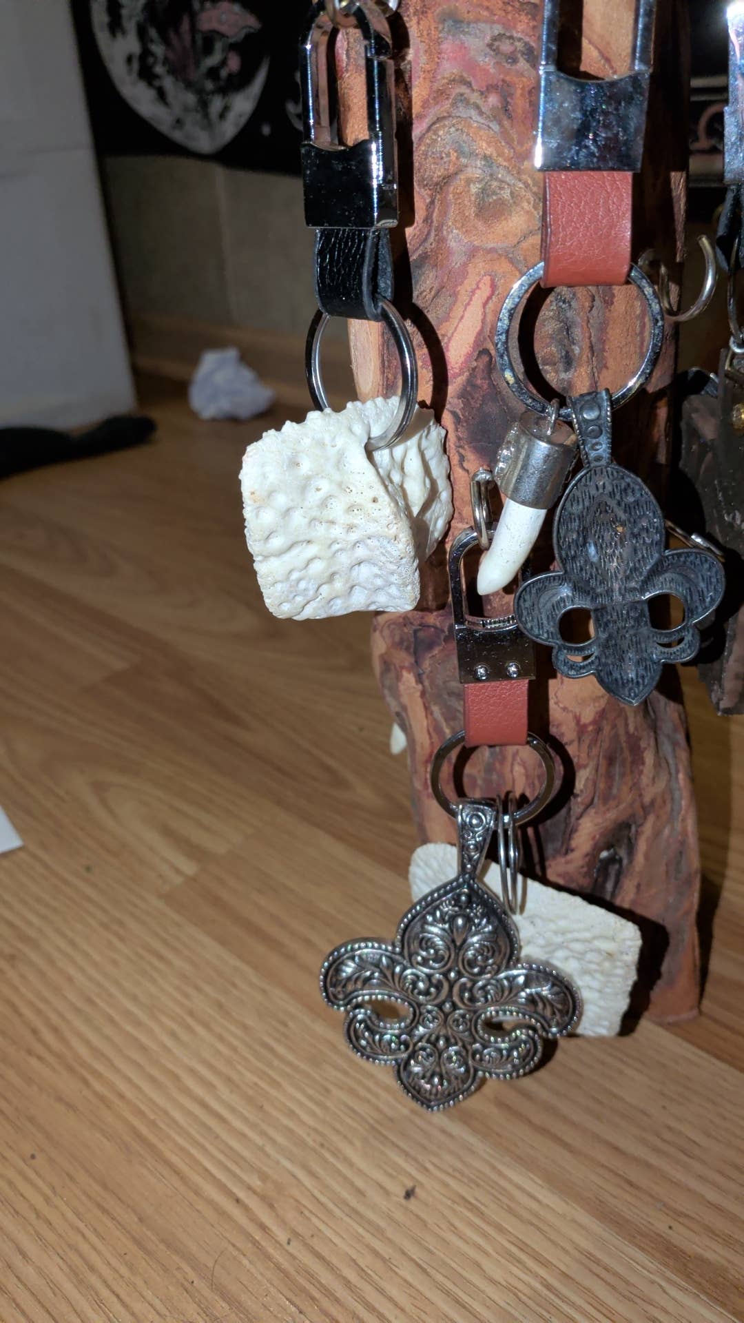 Genuine Louisiana Alligator Keychains – Tooth, Foot & Natural Curiosity Charms