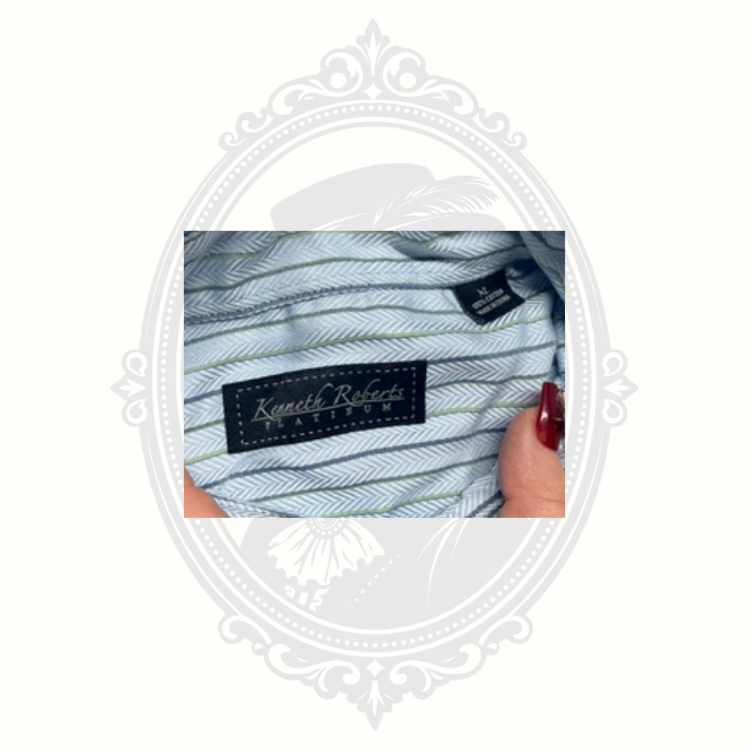 Kenneth Roberts Platinum Men's Blue & Sage Herringbone Stripe Dress Shirt Large