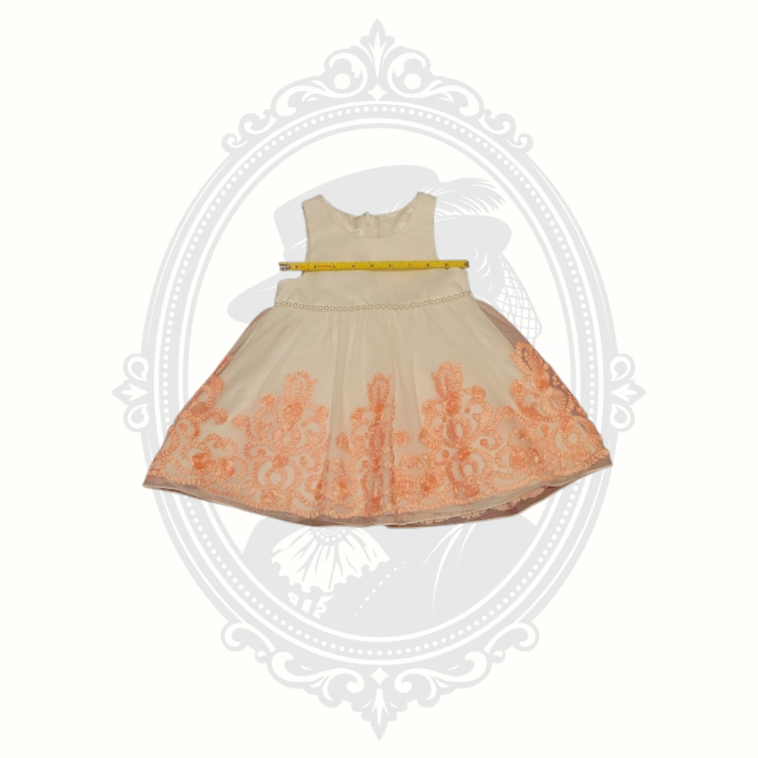 american princess dresses American Princess 24M Toddler Dress Ivory Peach Embroidered Tulle