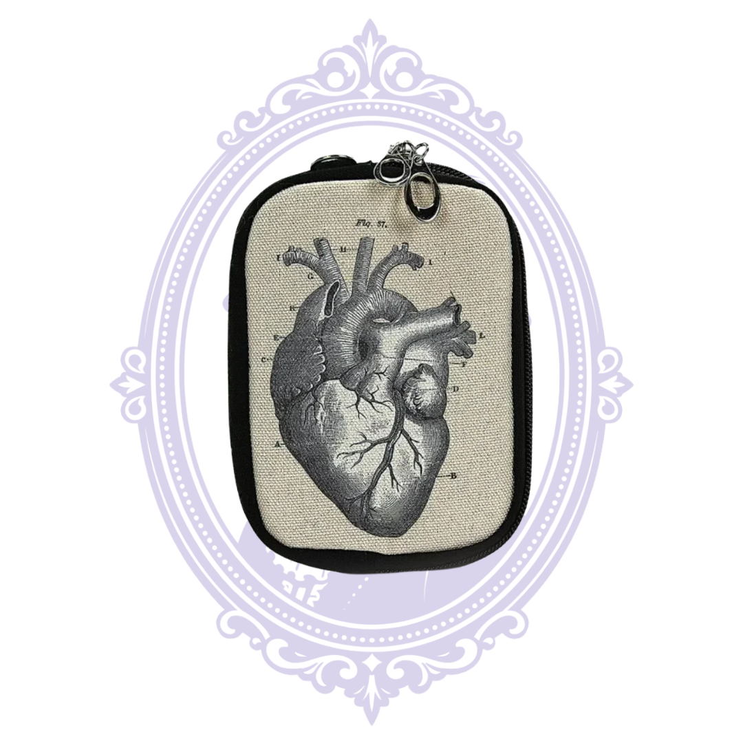 Front view of cream canvas zip pouch with vintage anatomical heart drawing