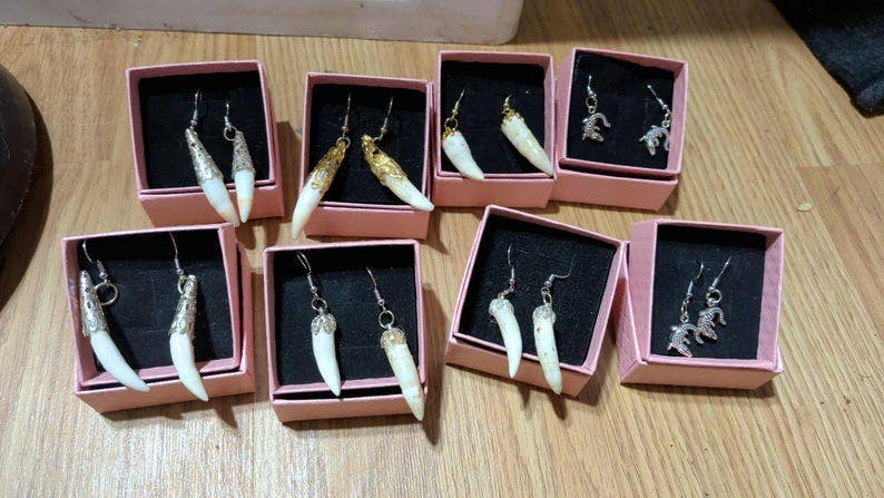 Genuine Louisiana Alligator Tooth Earrings – Handcrafted Bayou Jewelry