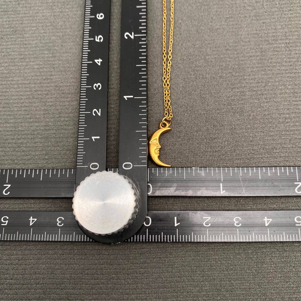 18K Gold Plated SS Crescent Moon Charm Necklace - FGS/MS