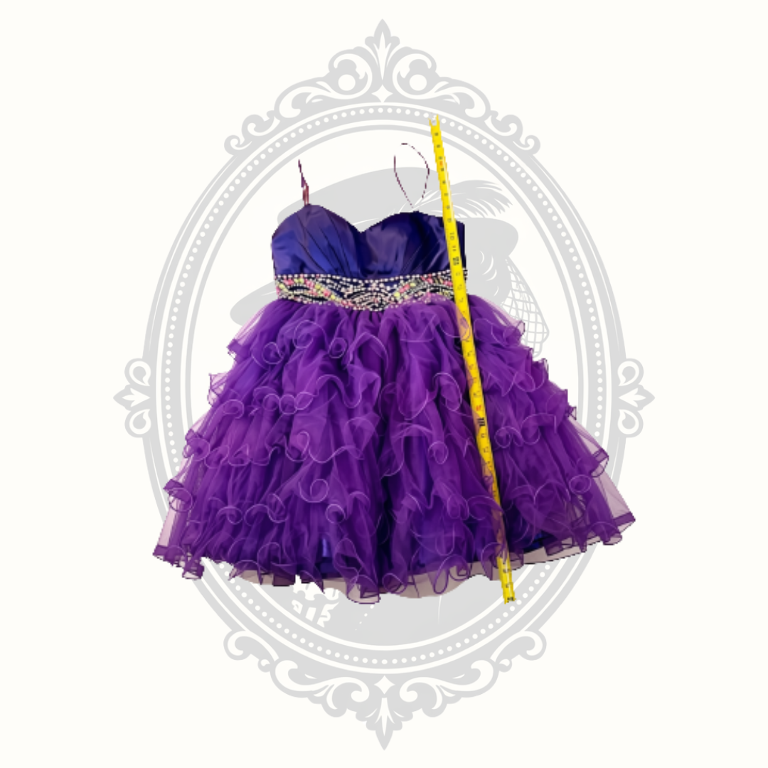 B'Dazzle by Alyce Purple Rhinestone Ruffle Tulle Party Dress – Size 8