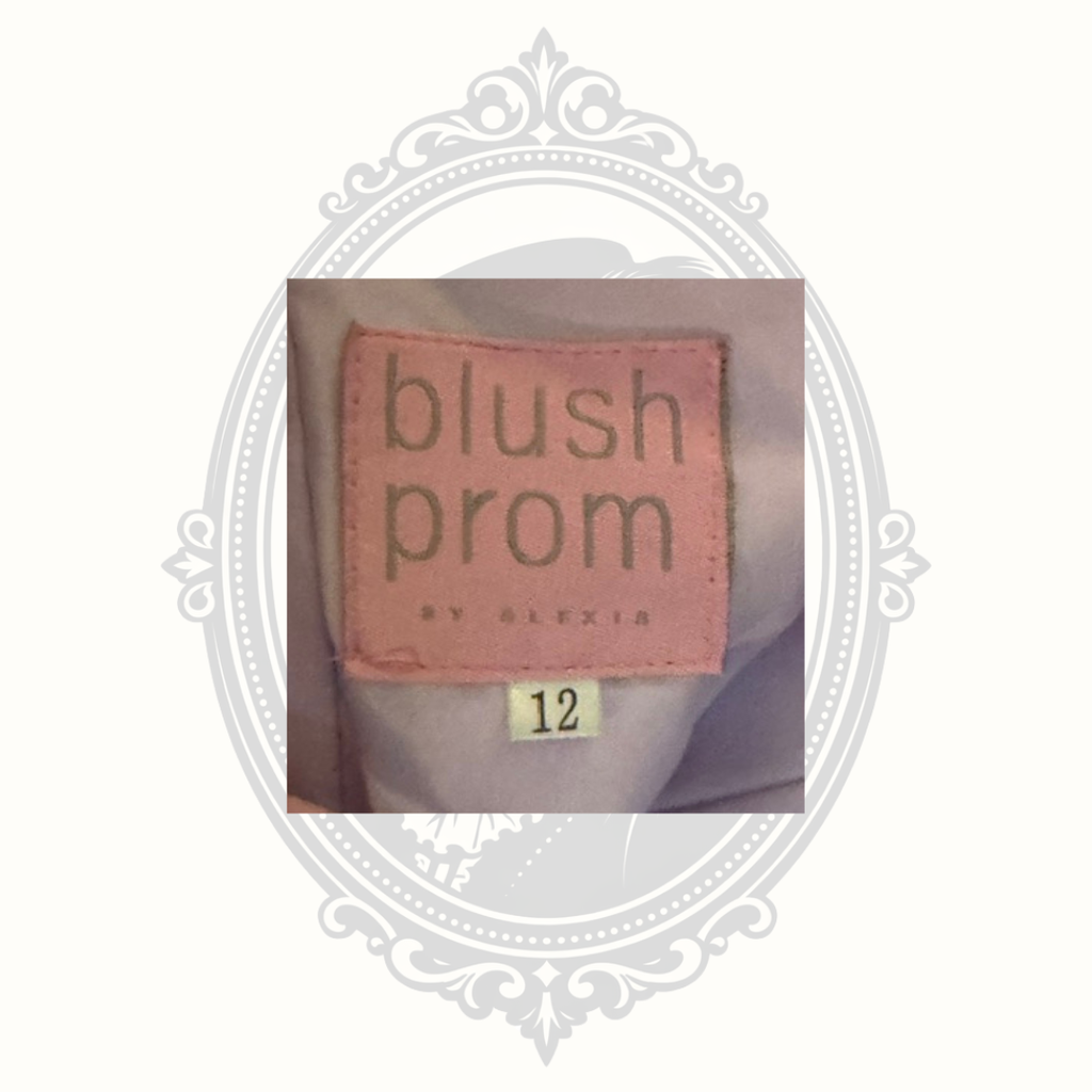 Blush Prom by Alexia Lilac Rhinestone Tulle Corset Gown - Size 12
