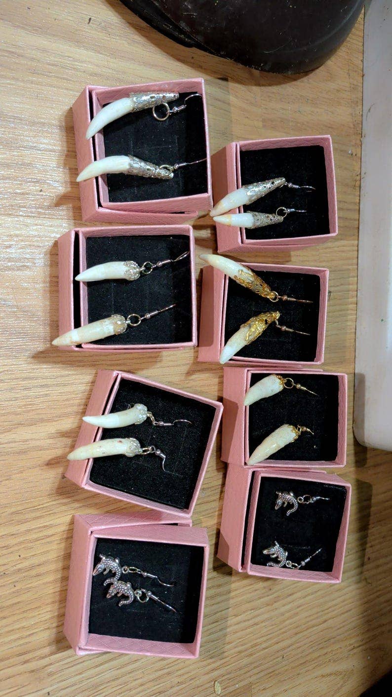 Genuine Louisiana Alligator Tooth Earrings – Handcrafted Bayou Jewelry