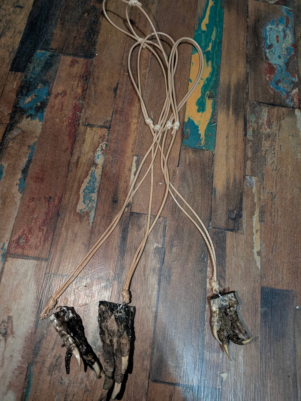 Genuine Louisiana Alligator Paw Necklace – Handcrafted Bayou Oddity Jewelry