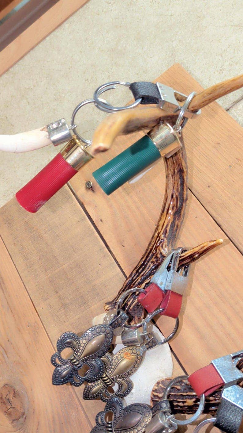 Genuine Louisiana Alligator Keychains – Tooth, Foot & Natural Curiosity Charms