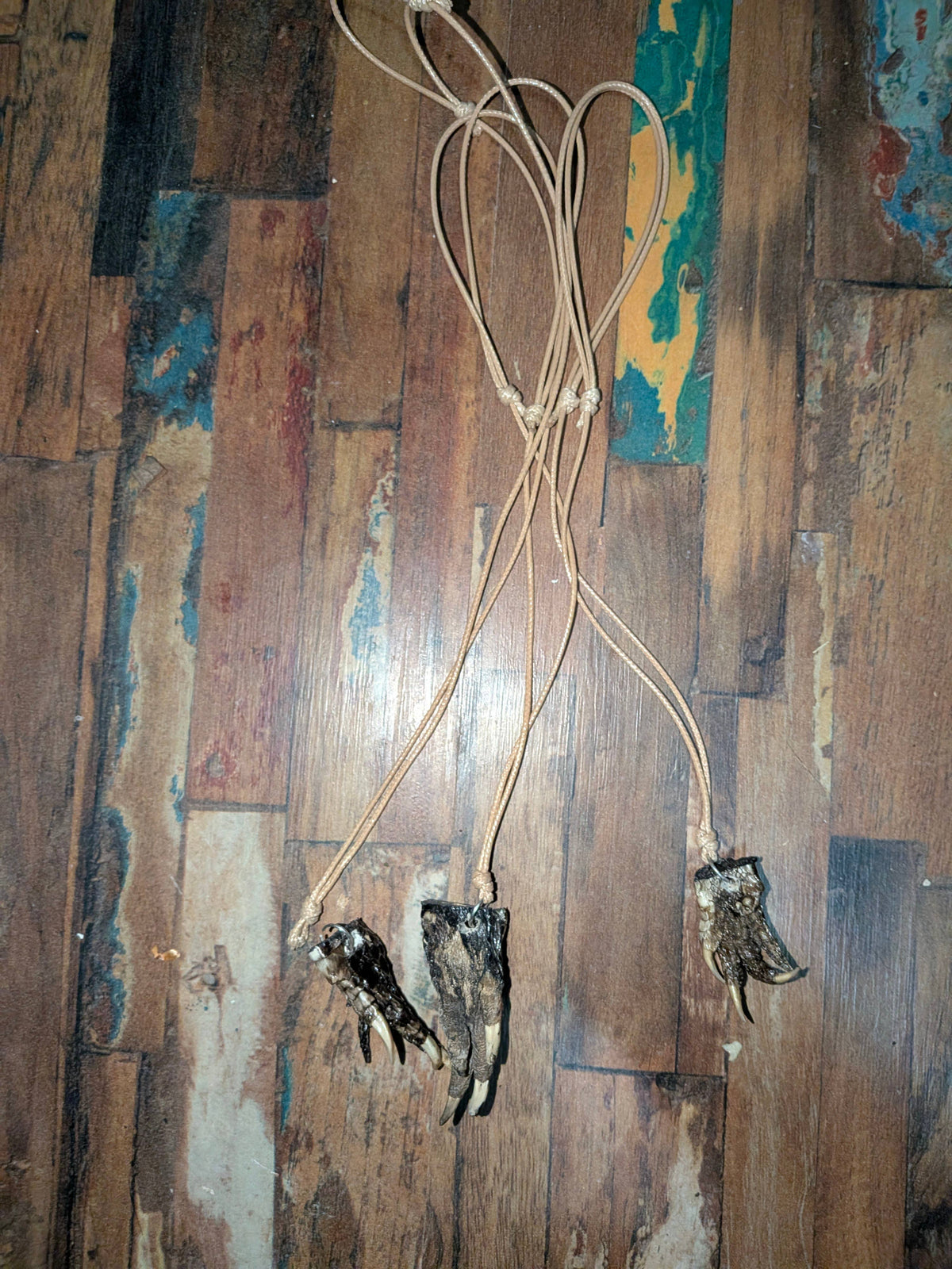 Genuine Louisiana Alligator Paw Necklace – Handcrafted Bayou Oddity Jewelry