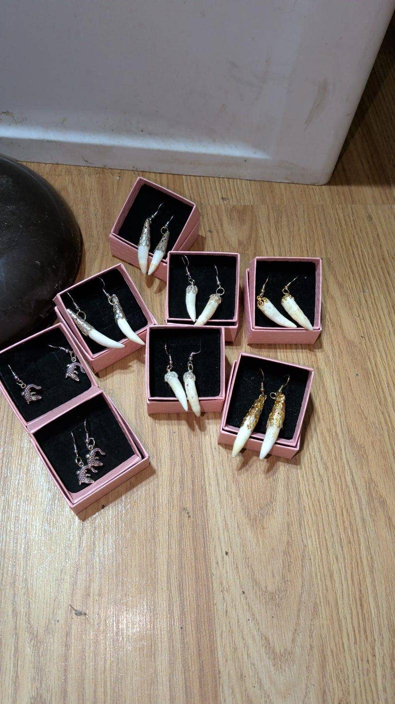 Genuine Louisiana Alligator Tooth Earrings – Handcrafted Bayou Jewelry