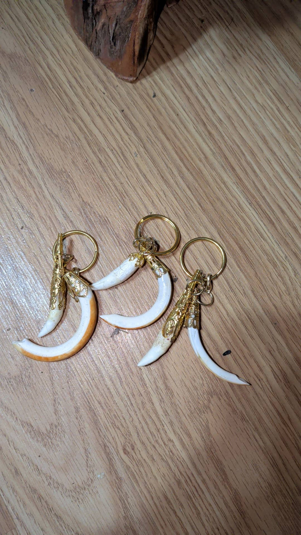 Genuine Louisiana Alligator Keychains – Tooth, Foot & Natural Curiosity Charms