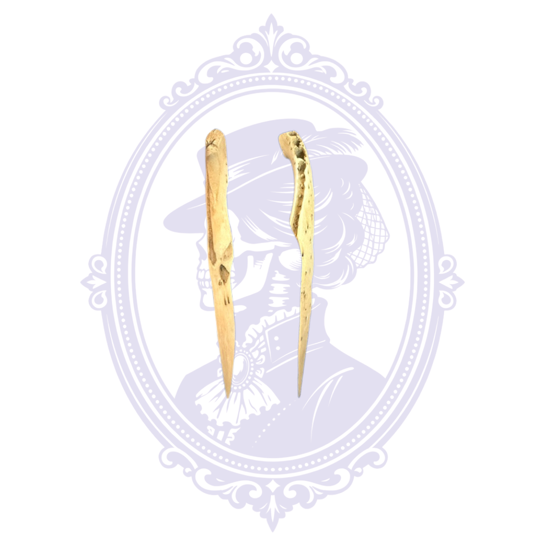 Extra large genuine Louisiana alligator jawbone letter opener shown from both sides