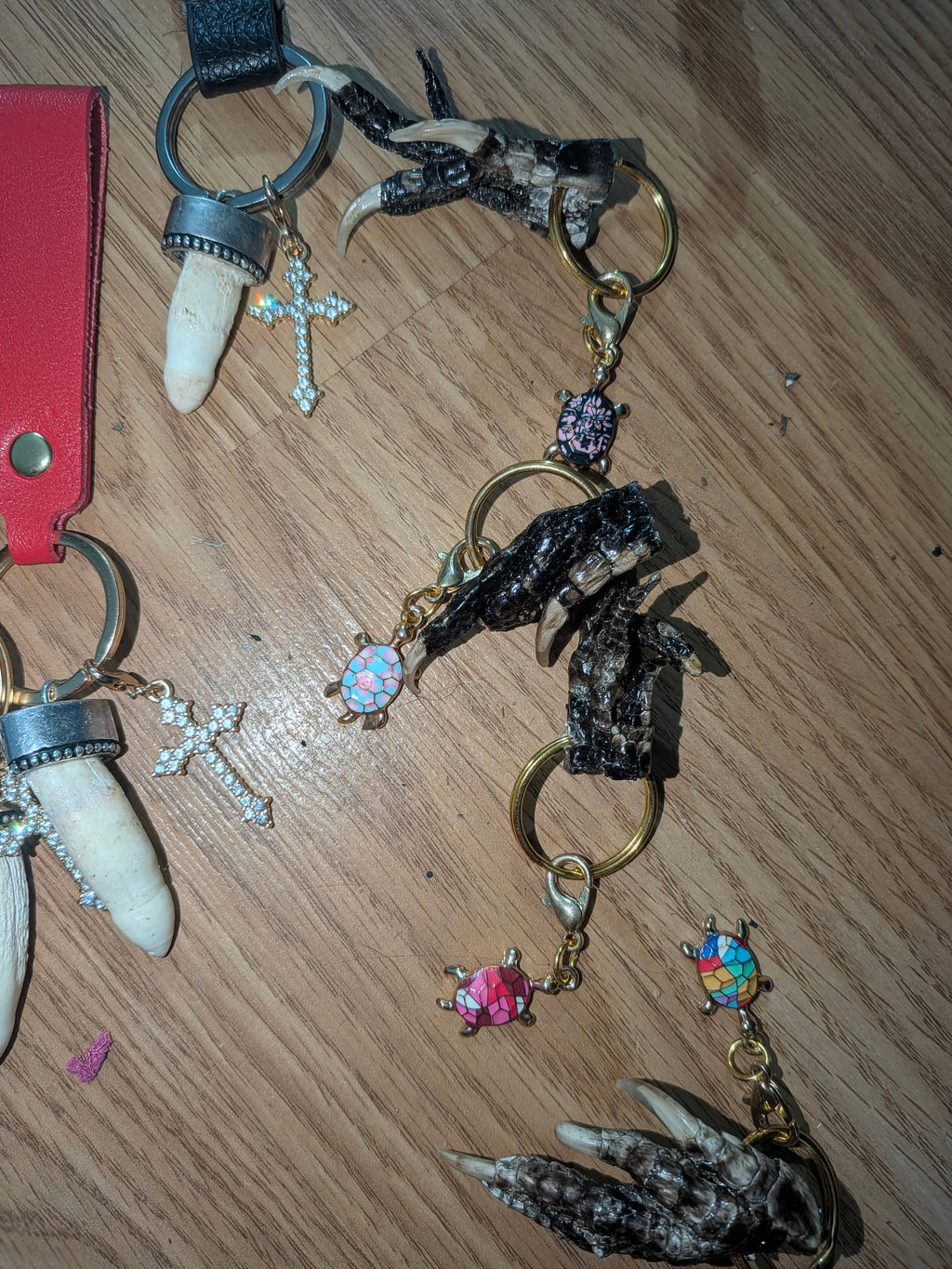 Genuine Louisiana Alligator Keychains – Tooth, Foot & Natural Curiosity Charms