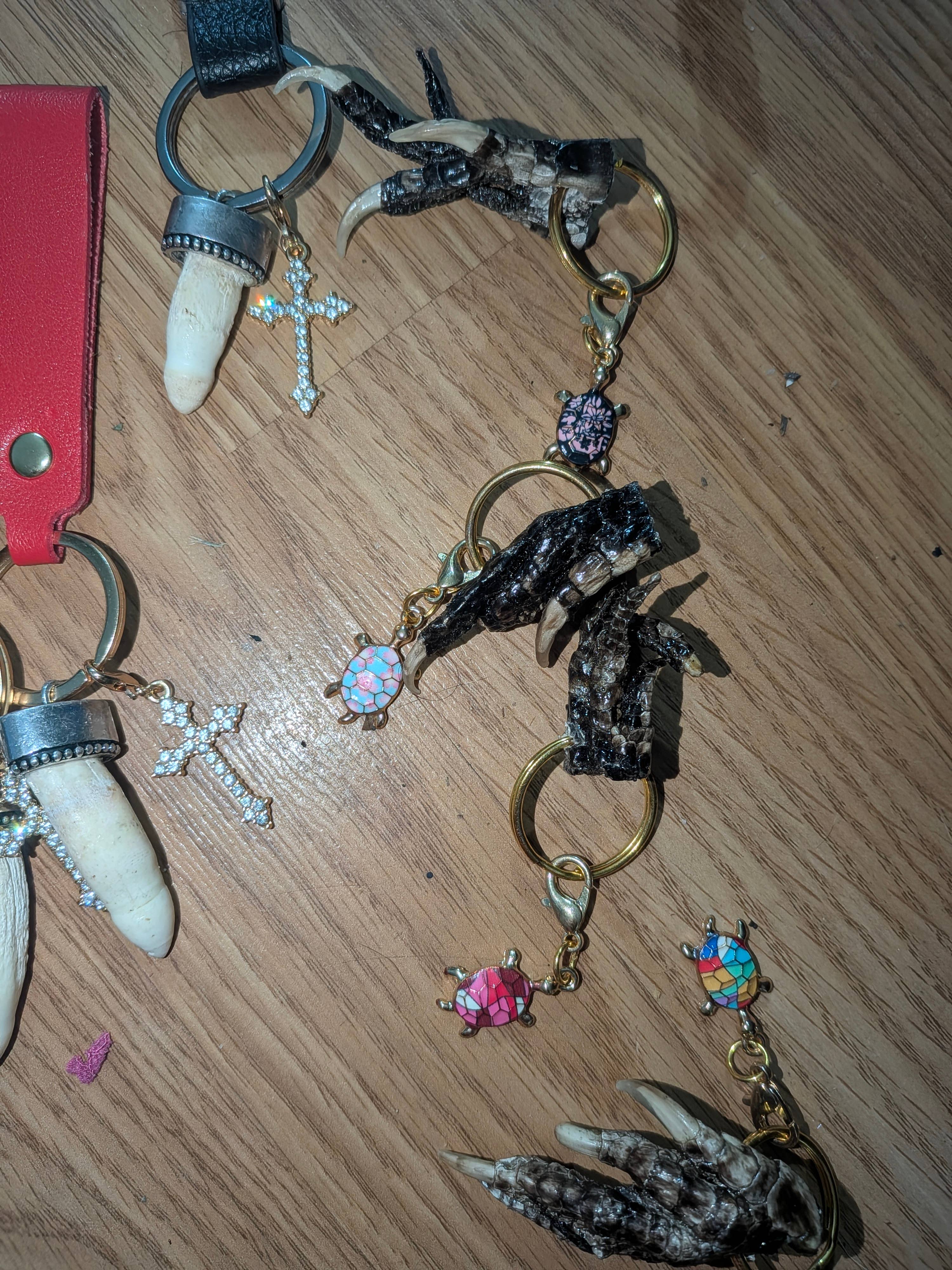 Genuine Louisiana Alligator Keychains – Tooth, Foot & Natural Curiosity Charms