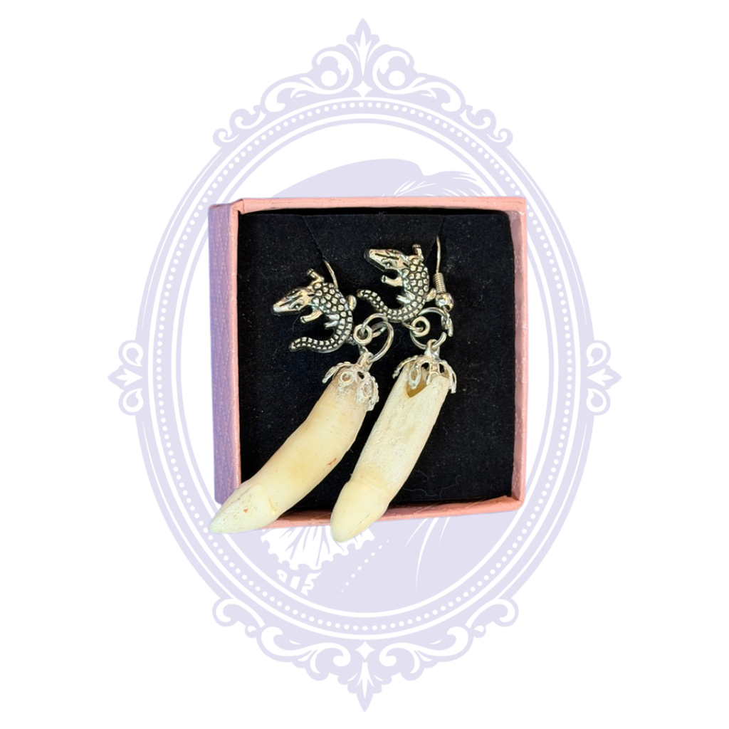 Genuine Louisiana Alligator Tooth Earrings – Handcrafted Bayou Jewelry