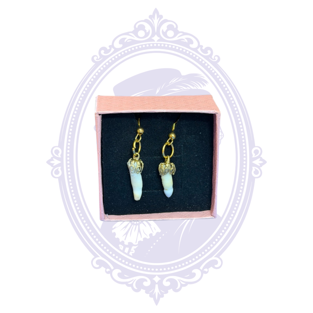 Genuine Louisiana Alligator Tooth Earrings – Handcrafted Bayou Jewelry