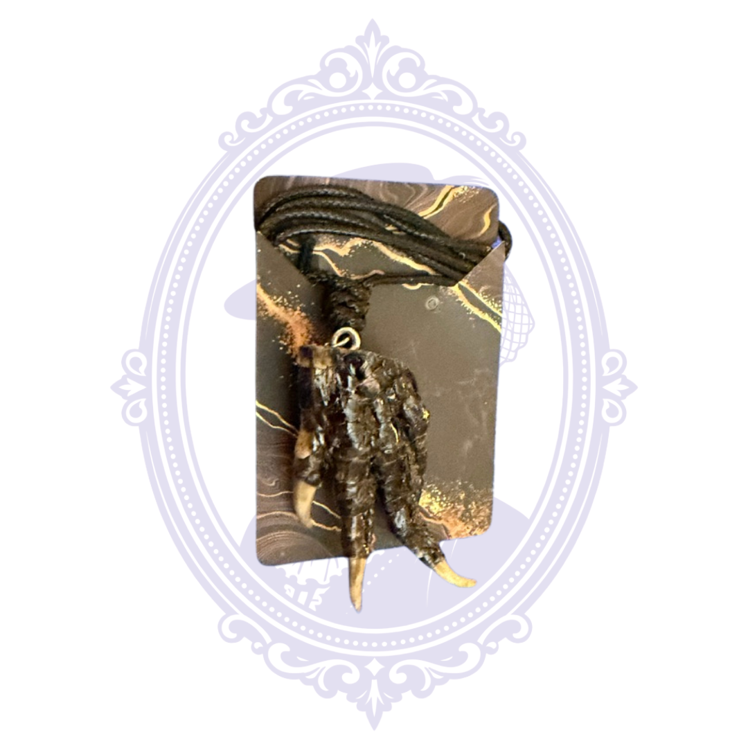 Genuine Louisiana alligator foot necklace showing natural scales and claws