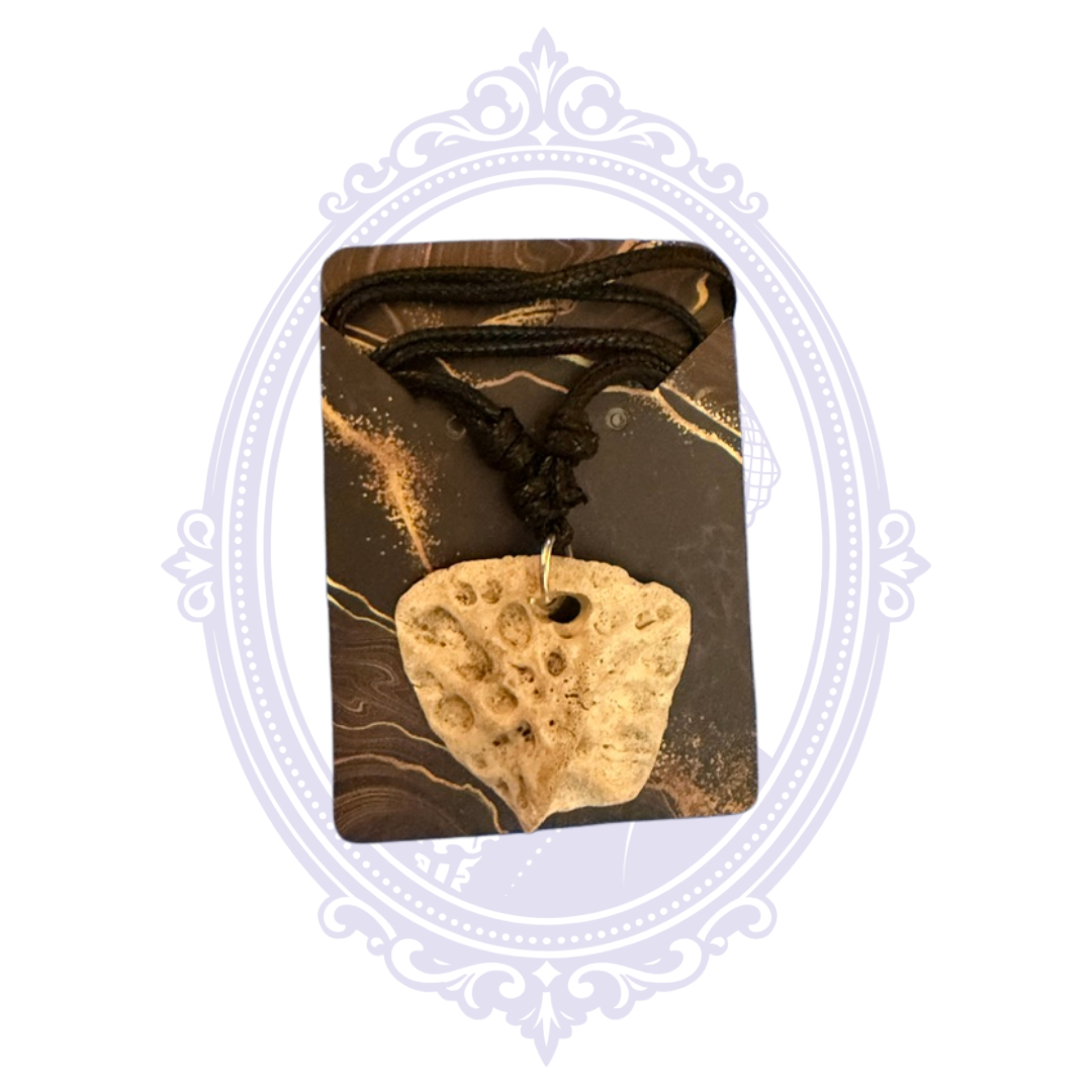 Genuine Louisiana alligator scute bone pendant on adjustable black cord