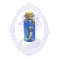 Genuine Louisiana Alligator Toe in Glass Vial – Natural Curiosity Specimen
