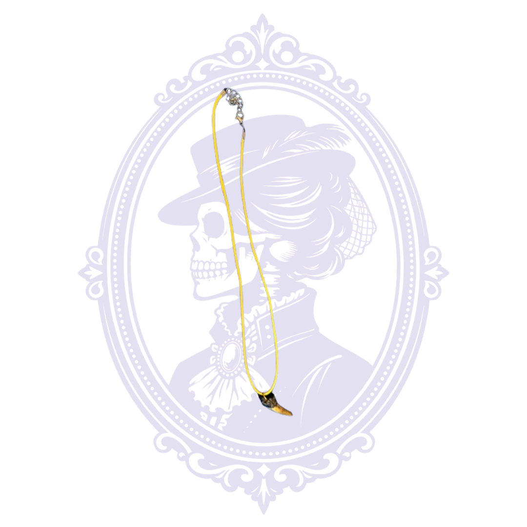 Genuine Alligator Toe Necklace | Louisiana Curiosity Jewelry