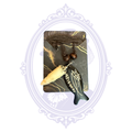 Genuine Louisiana alligator tooth and carved Christian fish pendant necklace