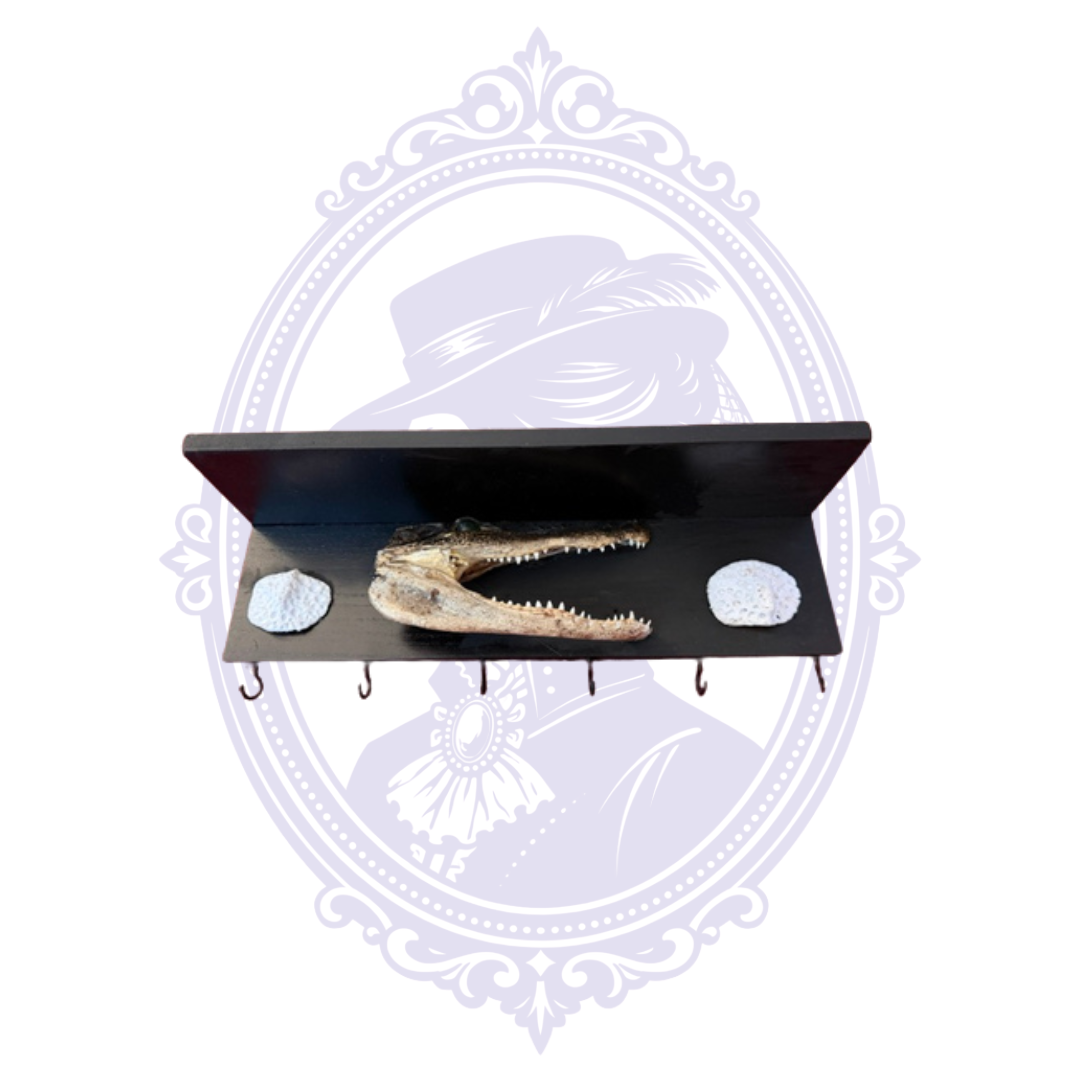 Alternate view of handcrafted Louisiana alligator jawbone wall shelf and six-hook key holder on black wood.
