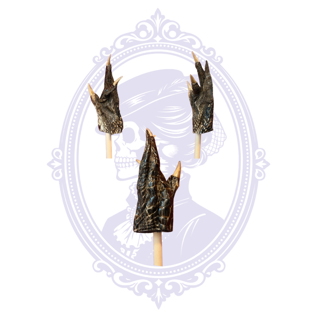 Close-up of genuine alligator foot back scratchers
