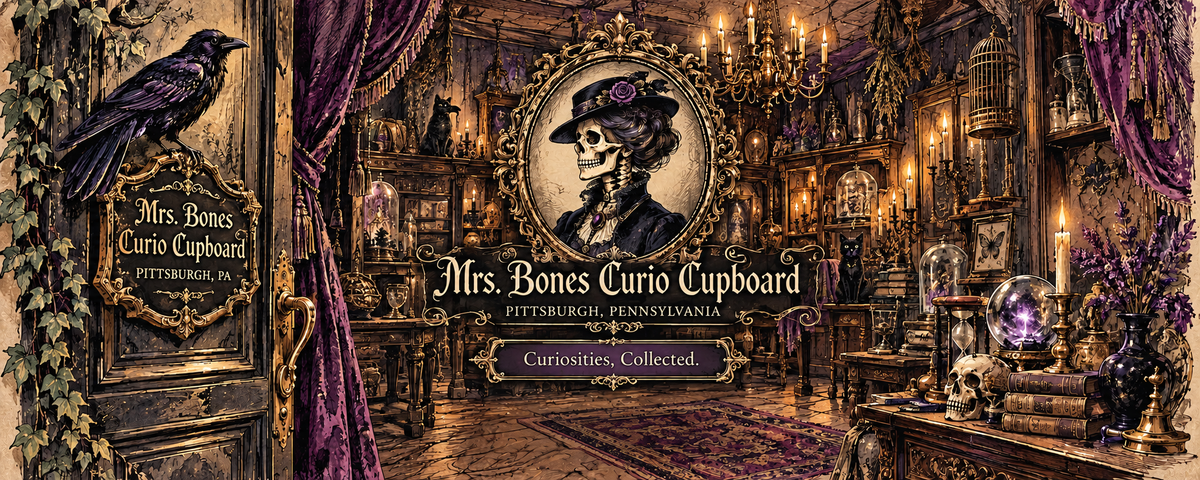 Illustrated Gothic Victorian curiosity shop with an open carved wooden door, black raven, purple velvet curtains, ornate portrait of Mrs. Bones, glowing chandeliers, antique cabinets, skulls, books, and mysterious treasures. Rich plum and gold details surround the words “Mrs. Bones Curio Cupboard” and “Curiosities, Collected.”
