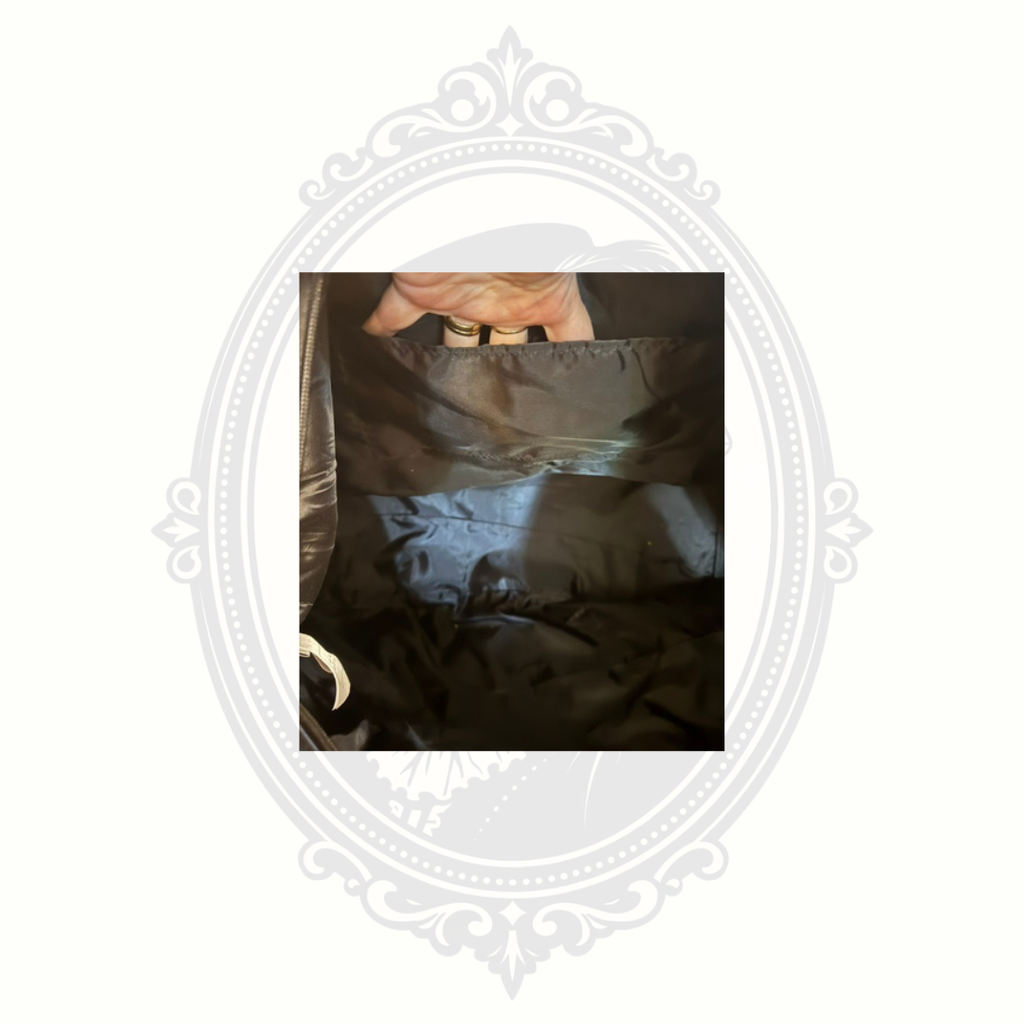 Interior view of Walt Disney World travel bag showing inner pocket and nylon lining