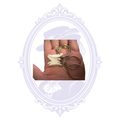 Four genuine coyote tooth keychains showing the actual natural specimens available from Mrs. Bones Curio Cupboard.