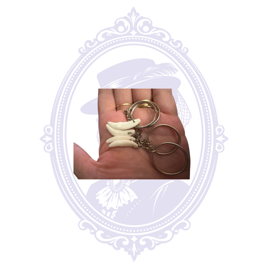 Four genuine coyote tooth keychains showing the actual natural specimens available from Mrs. Bones Curio Cupboard.